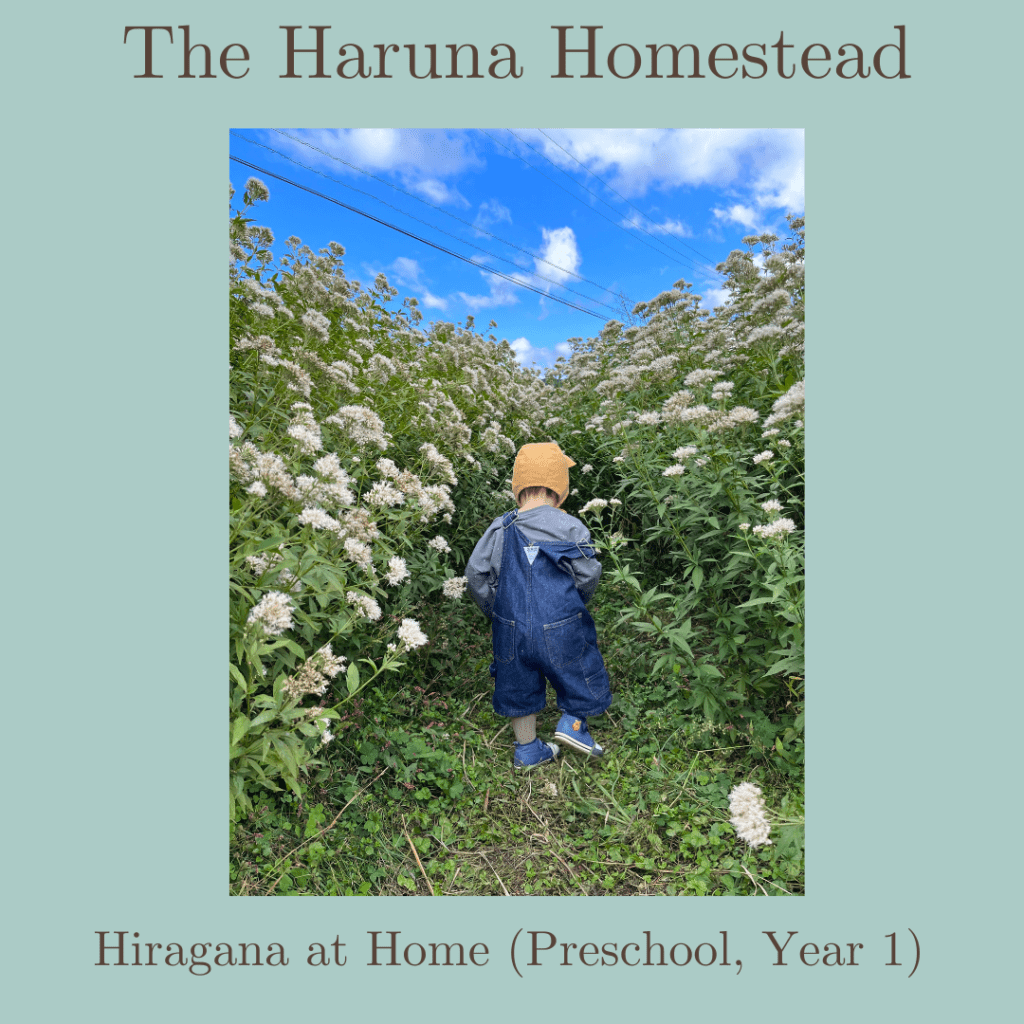Haruna Homestead Preschool Year 1