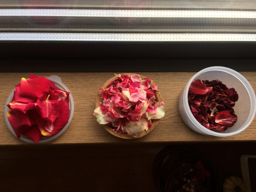 Using Rose Petals to Make Potpourri - Wenke Greenhouses